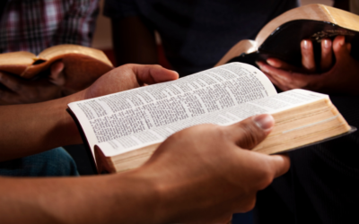 En búsqueda constante de la Sabiduría: Reflexiones desde Proverbios 2